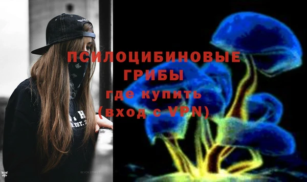 PSILOCYBIN Новодвинск