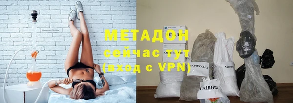 PSILOCYBIN Новодвинск
