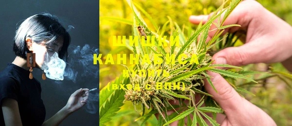 MESCALINE Новозыбков